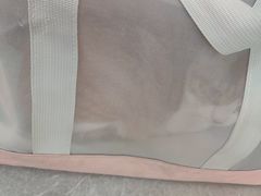 -半岛宠物医院24小时·内窥镜·牙科·碎石中心(府城大道店)