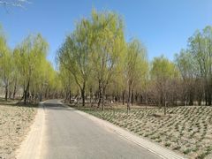 -东郊湿地公园