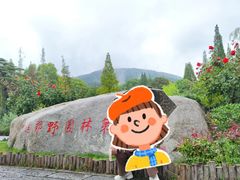 -习家池