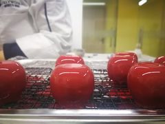 -威利旺卡烘焙西点蛋糕培训(朝阳校区)