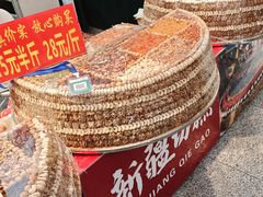 -长春农业博览园