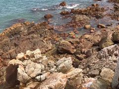 -西涌国际滨海旅游区