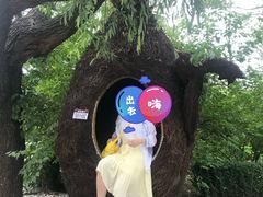 -老虎石海上公园