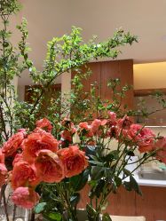 -阿南达·瑜伽普拉提·阿育吠陀疗愈中心