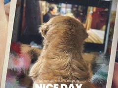 -曹杨影城(曹杨店)