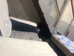 -杨一刀修脚(马连道南街店)