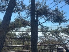 -沂蒙山旅游区龟蒙景区
