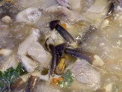 -千岛蚝高压锅生蚝·人参火锅(白云万达店)