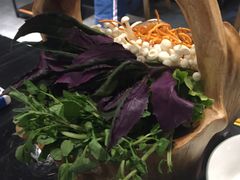 -东椰·海南椰子鸡火锅(朝阳门店)