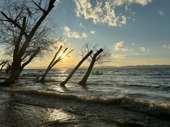 -捞渔河湿地公园