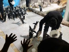 -成都浩海立方海洋公园