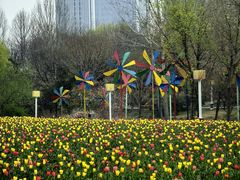 -郑州中国绿化博览园