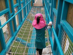 -季高兔窝窝亲子园(上海薰衣草公园店)