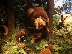 -陕西自然博物馆