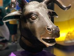 -广西壮族自治区博物馆