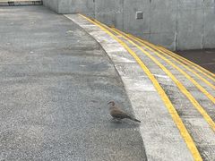 -兰溪青年公园