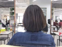 -蚂蚁造型沙龙