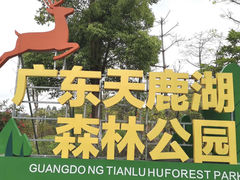 -天鹿湖森林公园