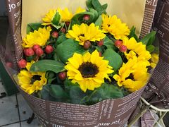 -双季花艺园艺市场(浦东店)