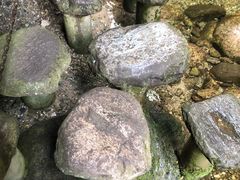 -牛背梁国家森林公园
