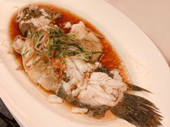 -张博士茗茶馆(外滩店)
