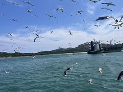 -海驴岛(荣成市)