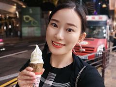 -富豪雪糕车流动点(尖沙咀店)
