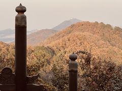 -杭州半山国家森林公园