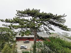-妙峰山风景名胜区