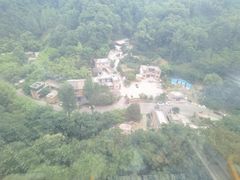 -栾川竹海野生动物园