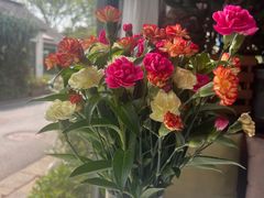 -春暖花开(西溪店)