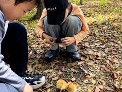 -嘉北郊野公园