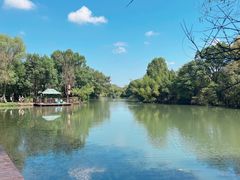 -西溪国家湿地公园