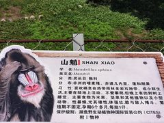 -西安秦岭野生动物园