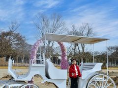 -武汉紫薇都市田园