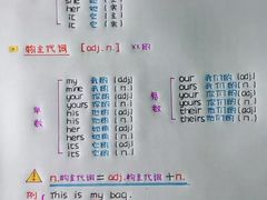 -引领英语·成人口语·雅思托福