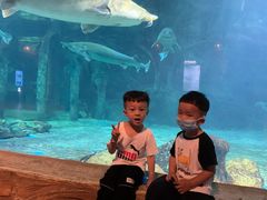 -华夏文旅海洋公园