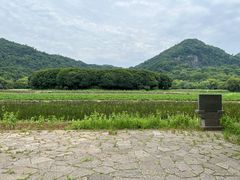 -八卦田遗址公园