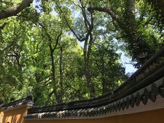 -普陀山风景名胜区-法雨禅寺