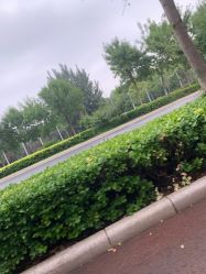 -HEYAN长风荷妍专业脱毛美肤
