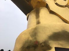 -大金鹰园