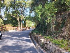 -杭州半山国家森林公园