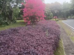 -福建鲤鱼洲酒店