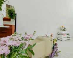 -WAVE SODA摄影工作室