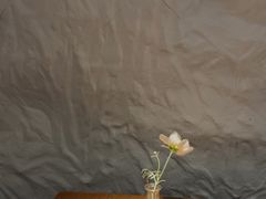 -麓椿花园西餐厅(海乐世界店)