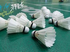 -西南交通大学-詹天佑体育馆