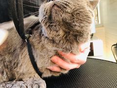 -喵汪宠物生活馆(涞坊路店)