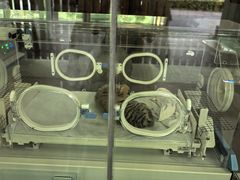 -宁波野生动物园