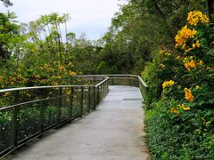 -仙岳公园