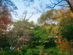 -广州兰圃
